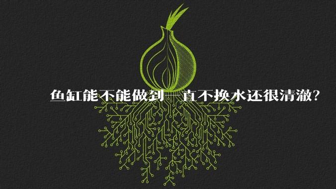 鱼缸能不能做到一直不换水还很清澈？